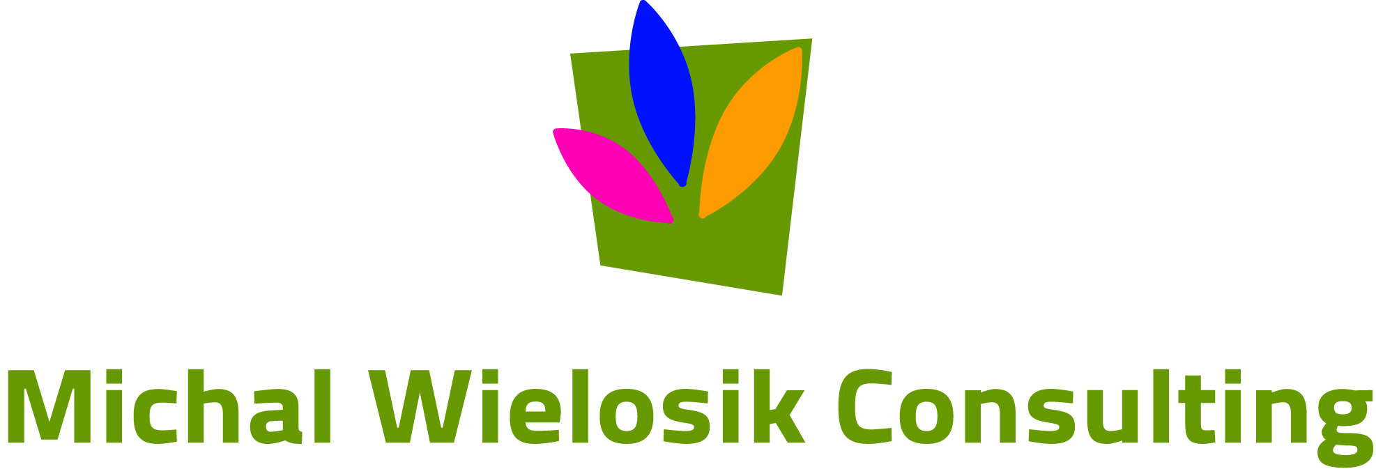 Michał Wielosik Consulting - partner Kancelarii Adwokackiej Aleksandra Poks-Wielosik